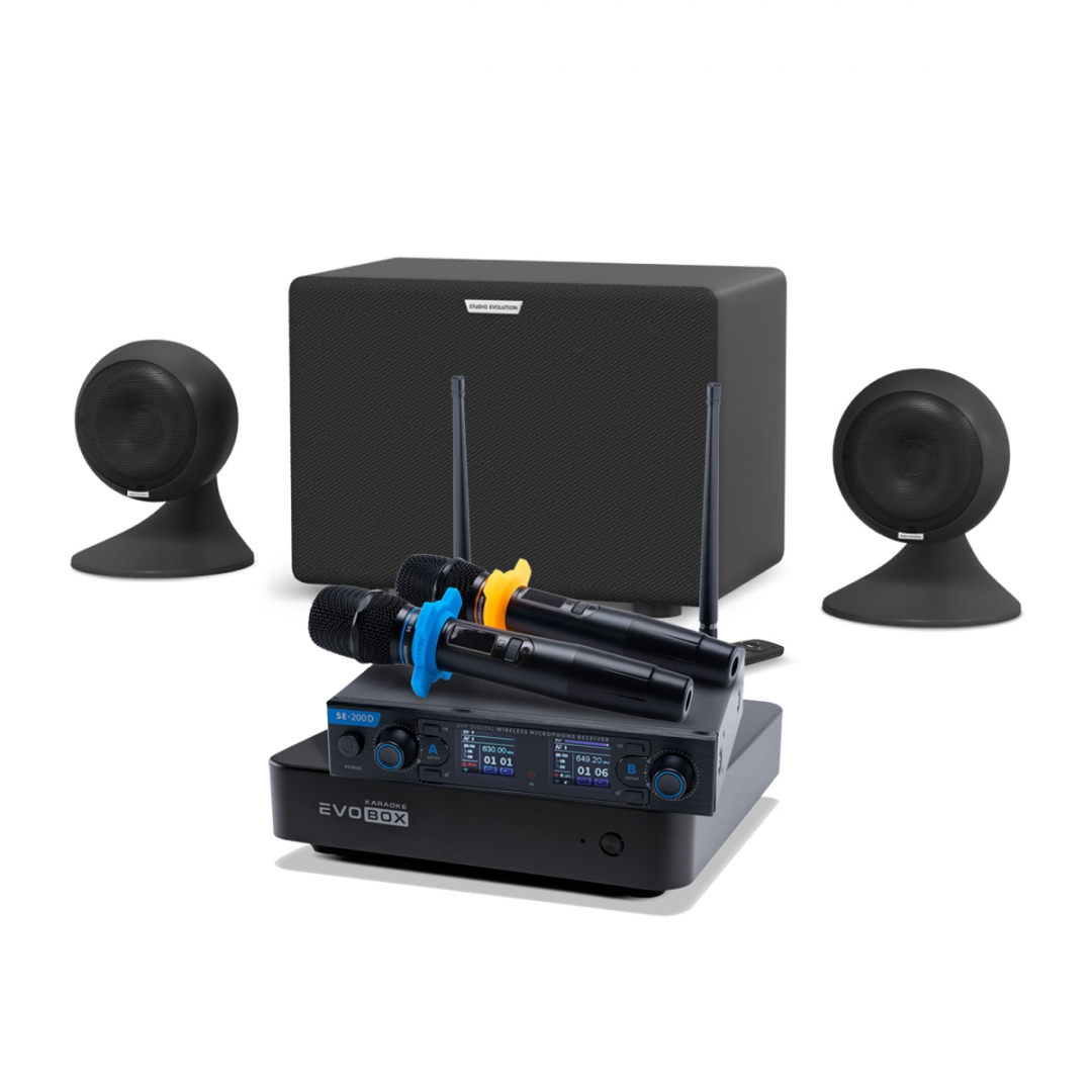 караоке-комплект EVOBOX + EvoSound Sphere 2.1 в Джанкое