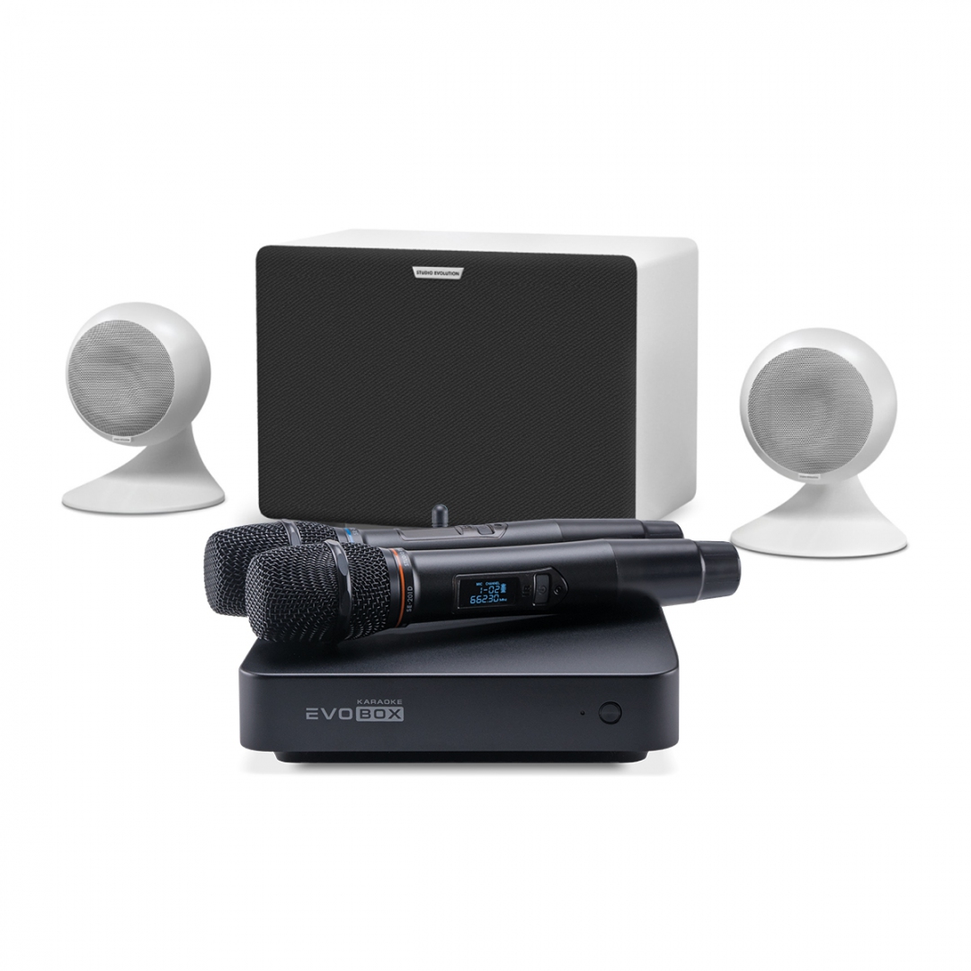 караоке-комплект EVOBOX Classic + EvoSound Sphere 2.1 в Джанкое