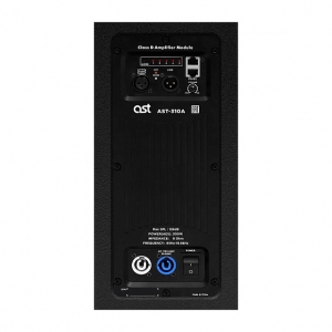 Активная акустическая система AST-310A в Джанкое