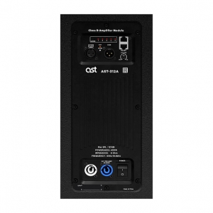 Активная акустическая система AST-312A в Джанкое