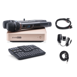 EVOBOX Classic караоке-система для дома в Джанкое