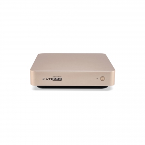 EVOBOX с микрофонами в Джанкое